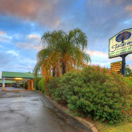 סנט ג'ורג' Jacaranda Country Motel מראה חיצוני תמונה