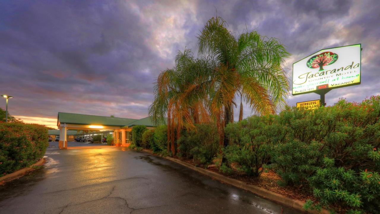 סנט ג'ורג' Jacaranda Country Motel מראה חיצוני תמונה