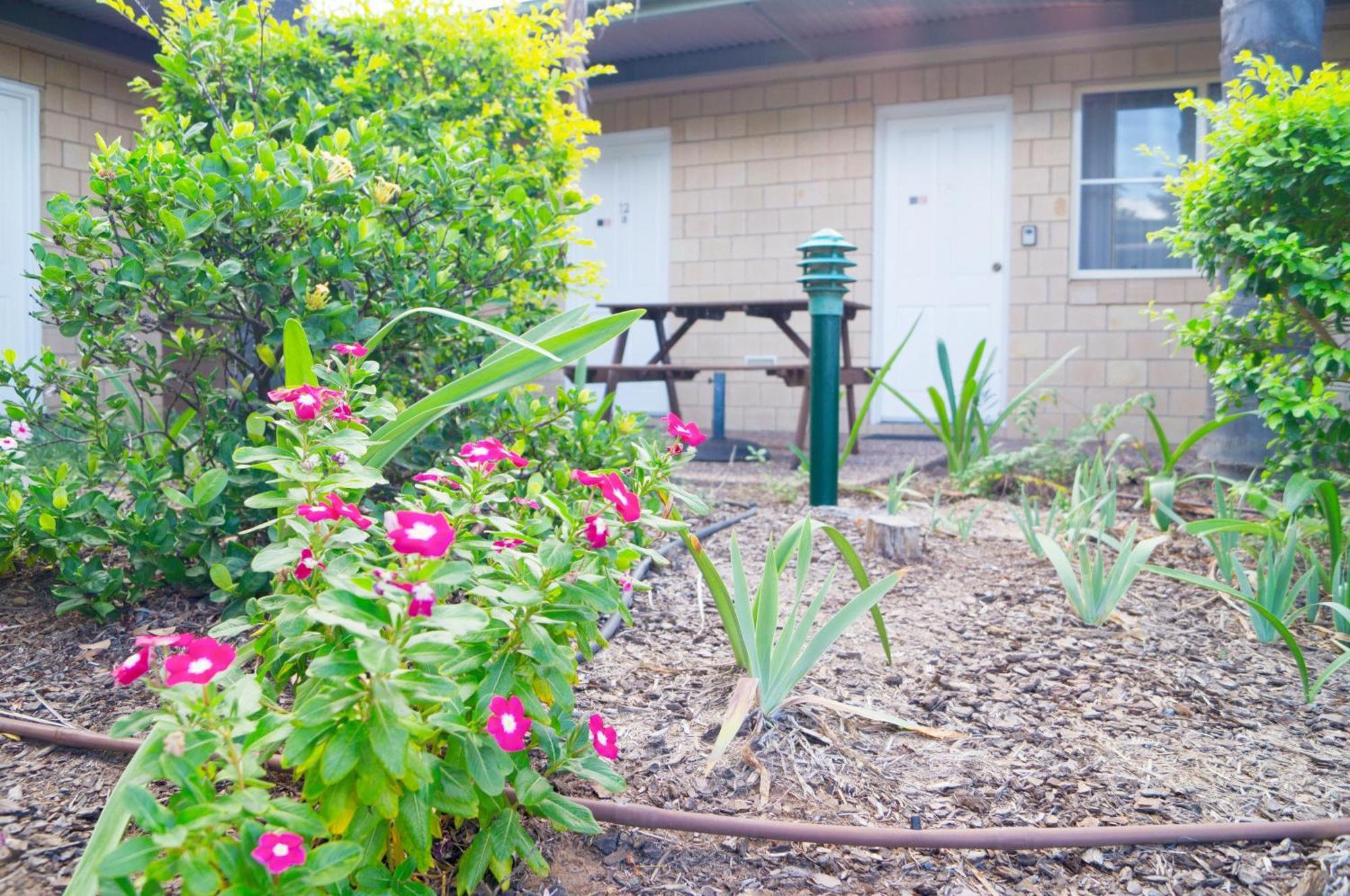 סנט ג'ורג' Jacaranda Country Motel מראה חיצוני תמונה